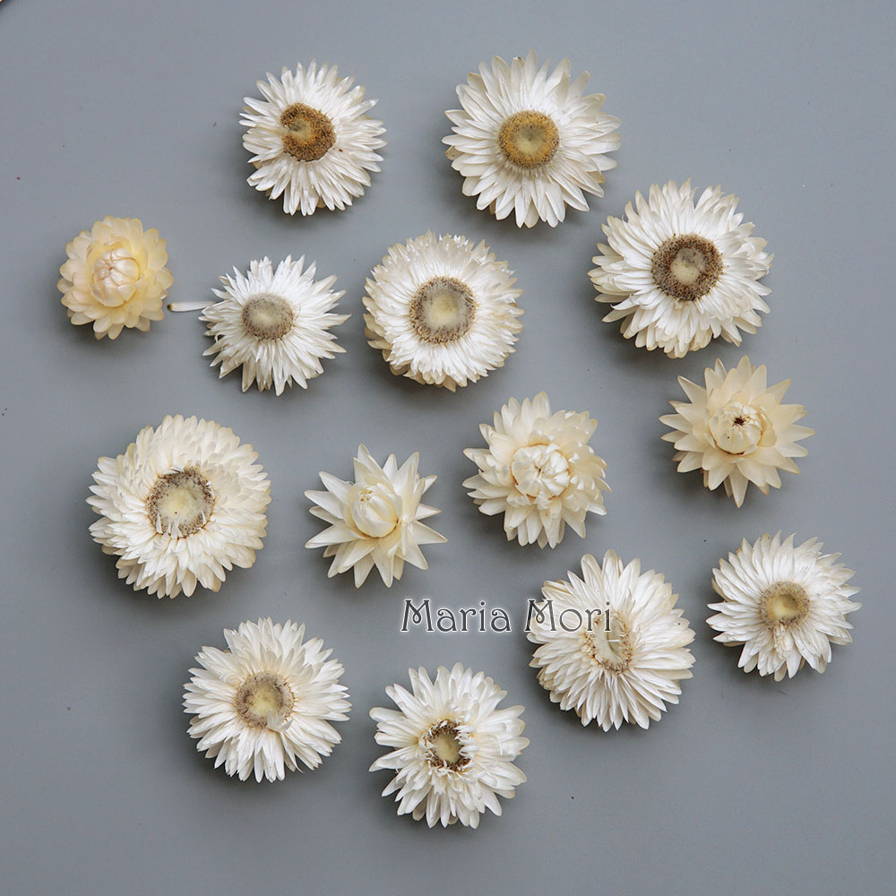 Candle Making Diy - Natural Dried Colorful Chrysanthemum Wreath Handmade