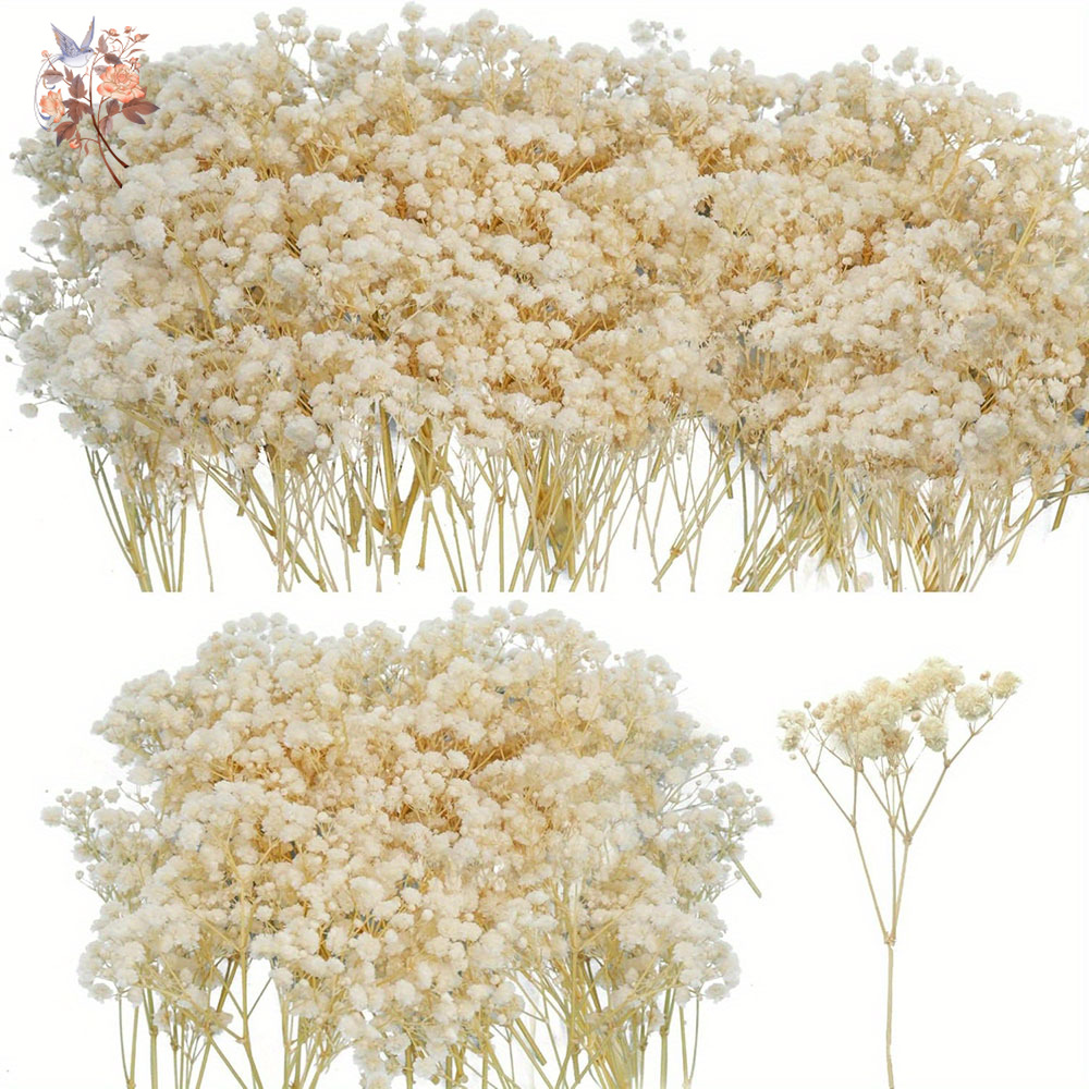 Candle Making Los Angeles - Mini Dried Gypsophila Flower DIY Aromatherapy