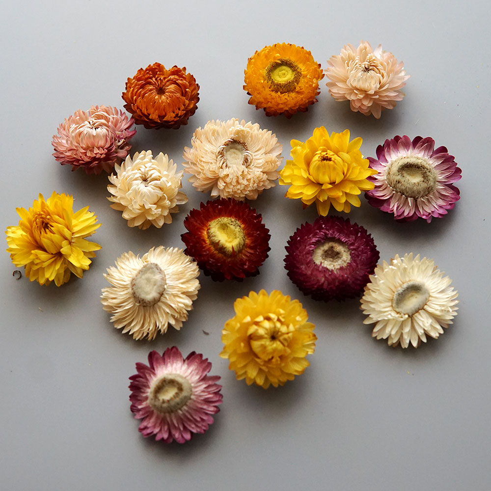 Natural Dried Colorful Chrysan - огляд і ціна Candle Making Diy