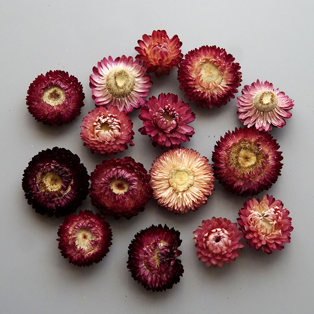 Natural Dried Colorful Chrysan - огляд і ціна Candle Making Diy