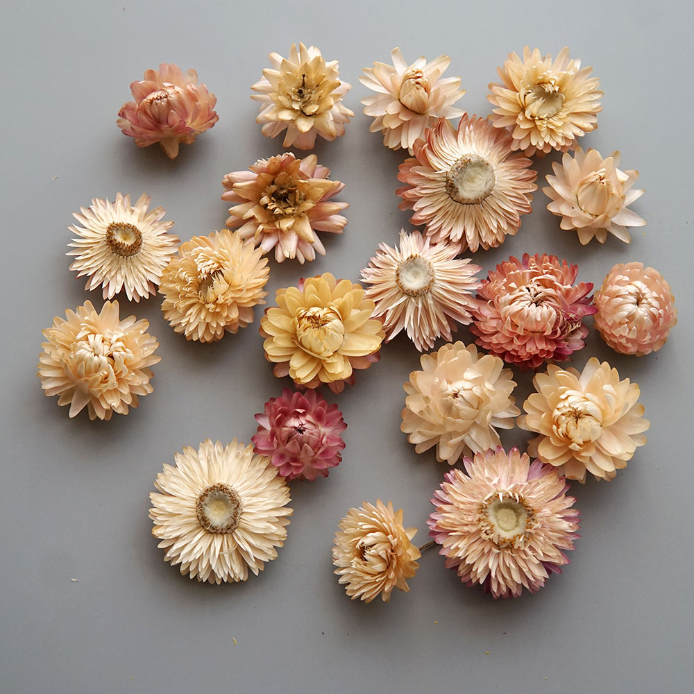 Natural Dried Colorful Chrysan - огляд і ціна Candle Making Diy