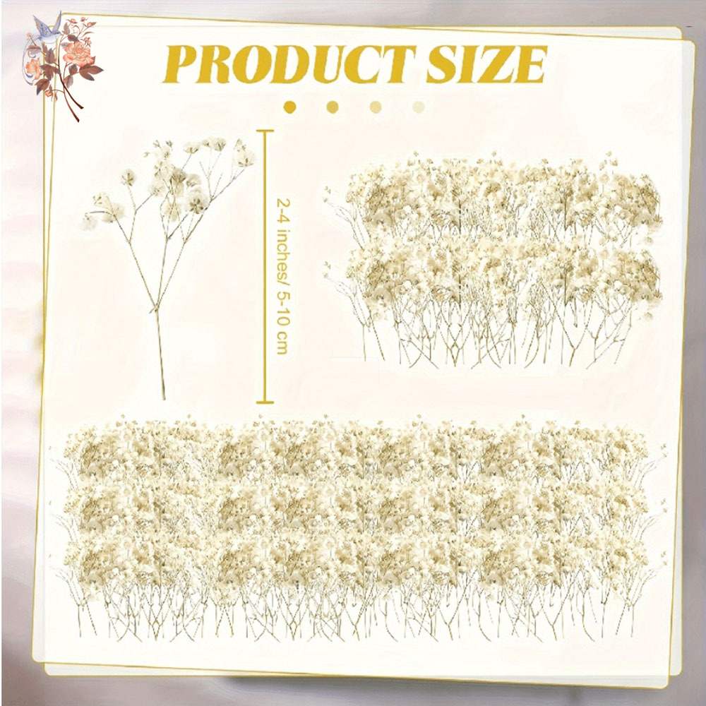 Mini Dried Gypsophila Flower D - огляд і ціна Candle Making Los Angeles