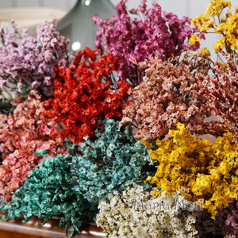 5g/ Colorful Dired Preserved C - огляд і ціна Candle Making Los Angeles